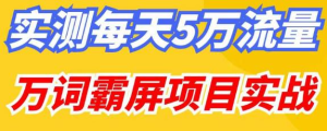 百度万词霸屏实操项目引流课,30天霸屏10万关键词网赚项目-副业赚钱-互联网创业-资源整合快赚网