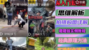 东方糖糖妹抖音短视频全套实战课思维+拍摄+剪辑+运营,从入门到精通网赚项目-副业赚钱-互联网创业-资源整合快赚网