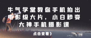 牛气学堂教你手机拍出电影级大片,小白秒变大神手机摄影课网赚项目-副业赚钱-互联网创业-资源整合快赚网