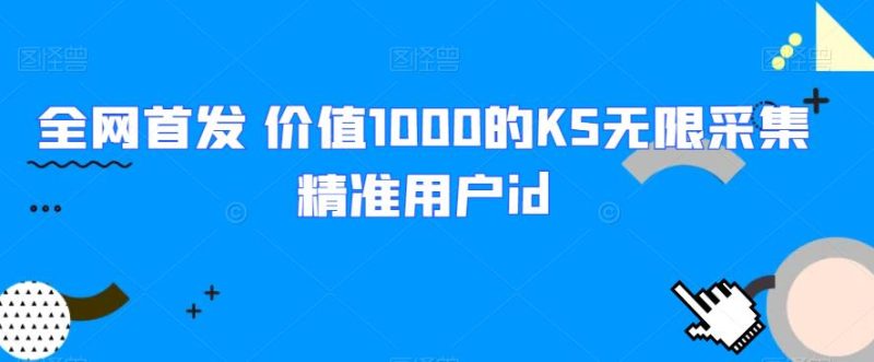 全网首发 价值1000的KS无限采集精准用户id网赚项目-副业赚钱-互联网创业-资源整合快赚网